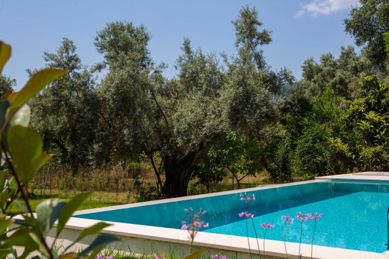 Averto Villas With Private Pool Nydri  Luaran gambar